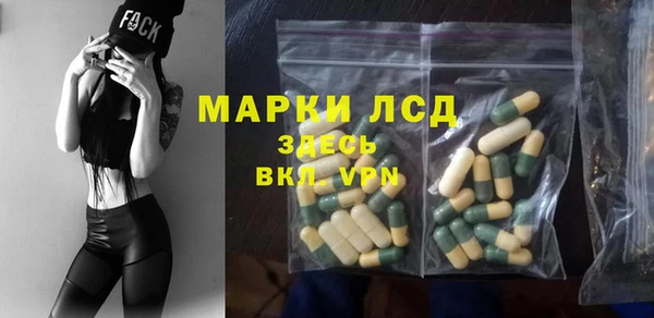 стаф Кулебаки