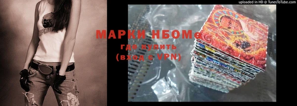 стаф Кулебаки
