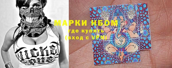 стаф Кулебаки