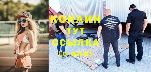 стаф Кулебаки