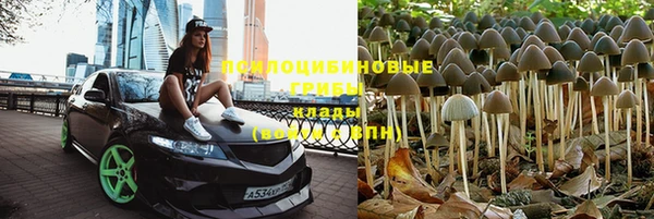 стаф Кулебаки