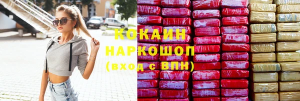 стаф Кулебаки