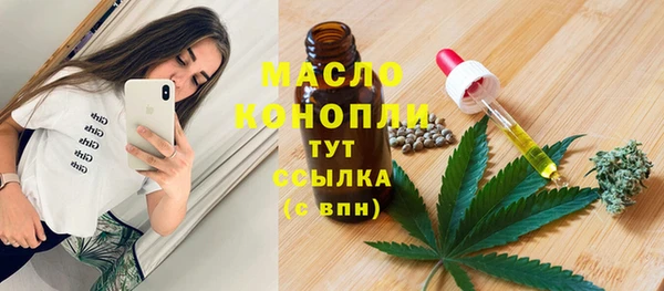 стаф Кулебаки