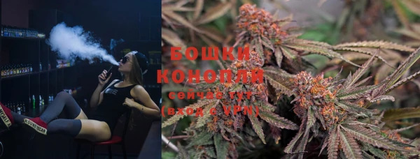 стаф Кулебаки