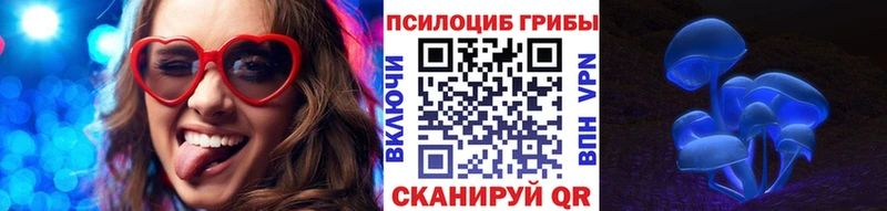 Купить где Могоча Псилоцибиновые грибы Psilocybe